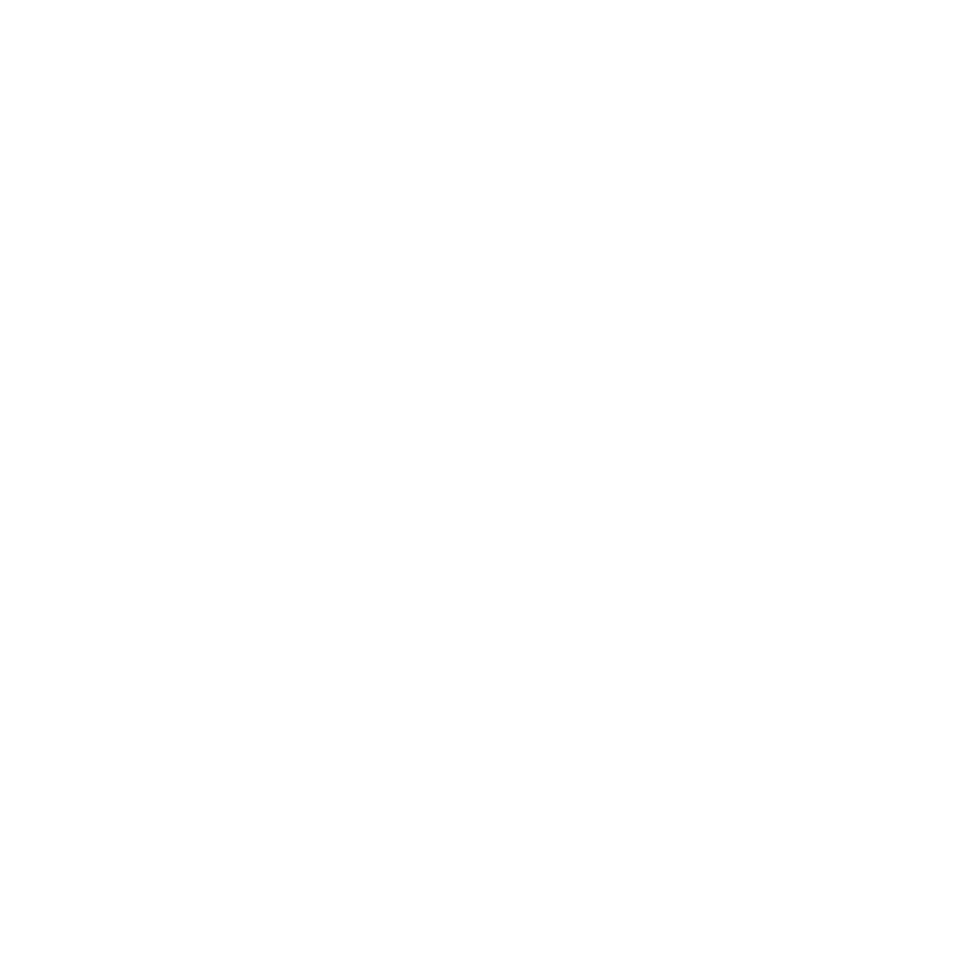 White wordmark